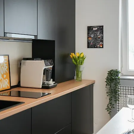 Apartment Ana Mojo Bucharest